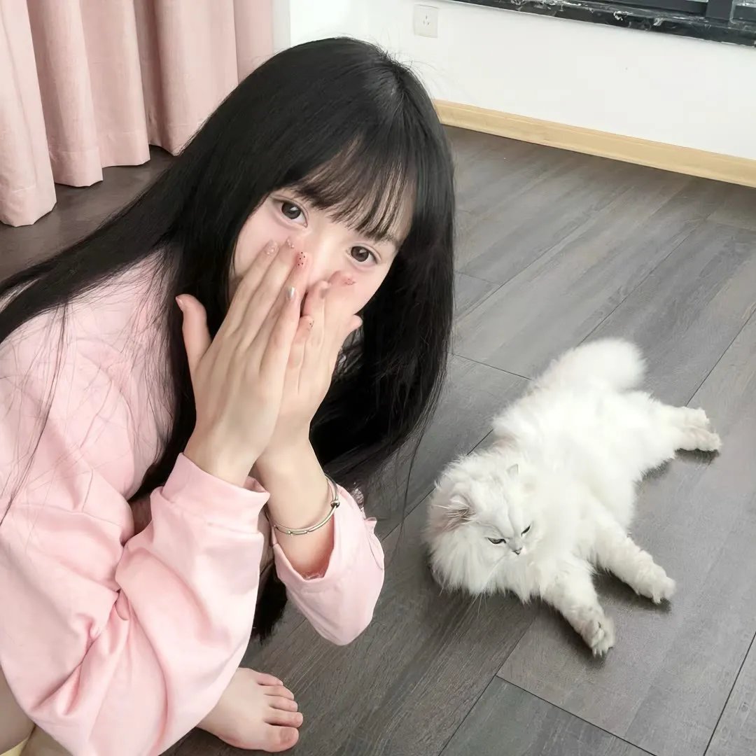 灌篮青春